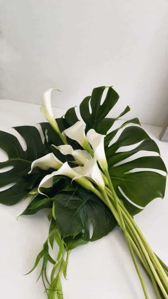 Modern Minimalist White Calla Lilies and Monstera