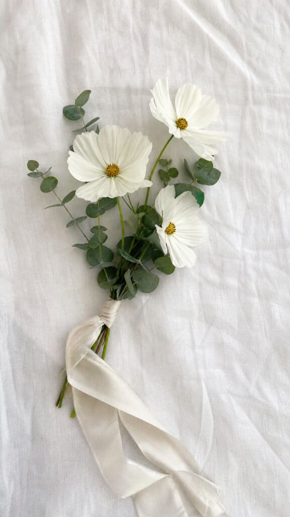 Minimalist Single-Stem Wildflower Bundle