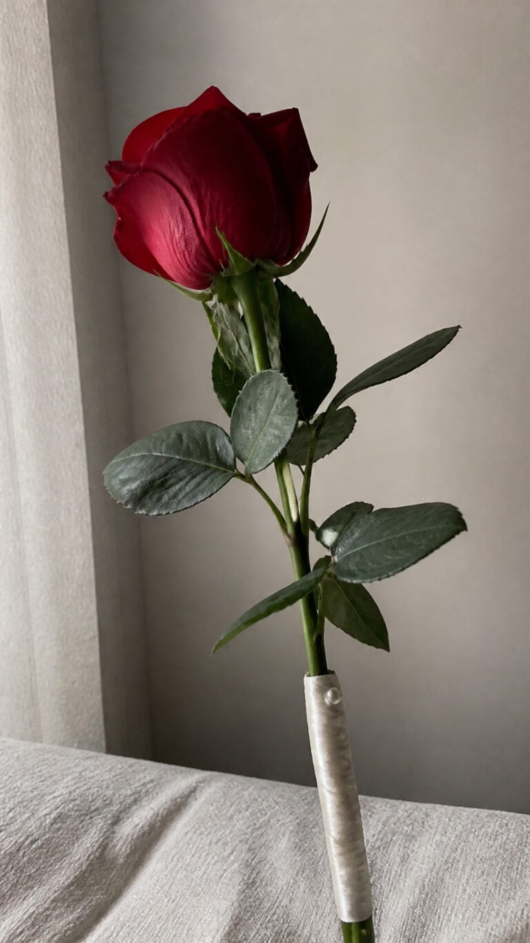 Classic Long-Stemmed Roses