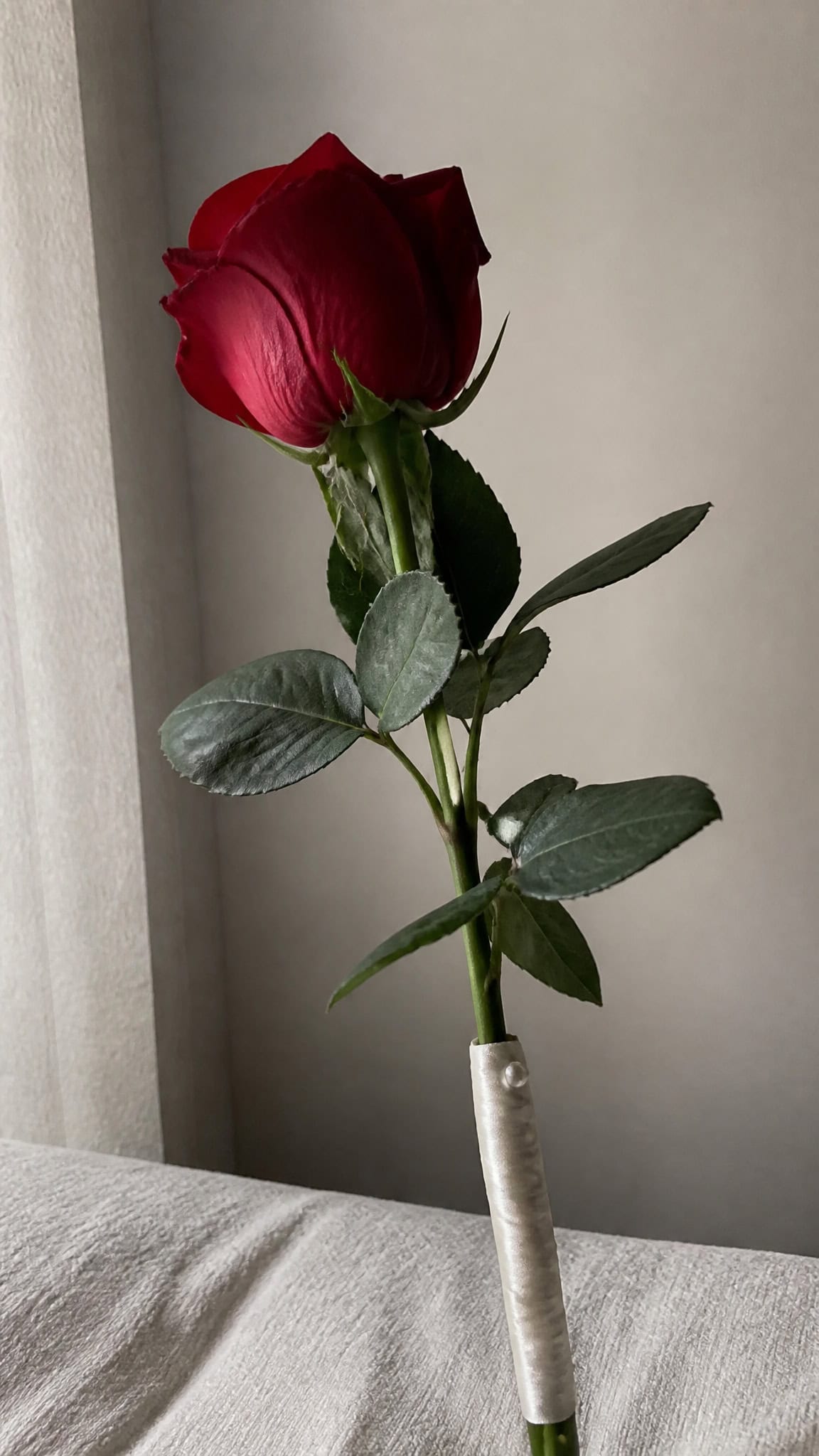 Classic Long-Stemmed Roses