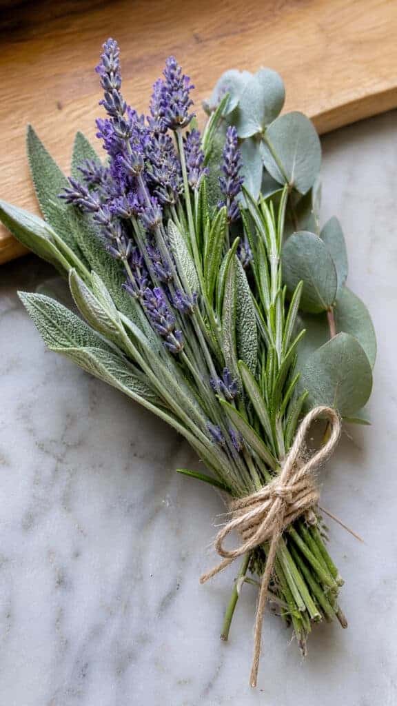 Herb Garden Bundles