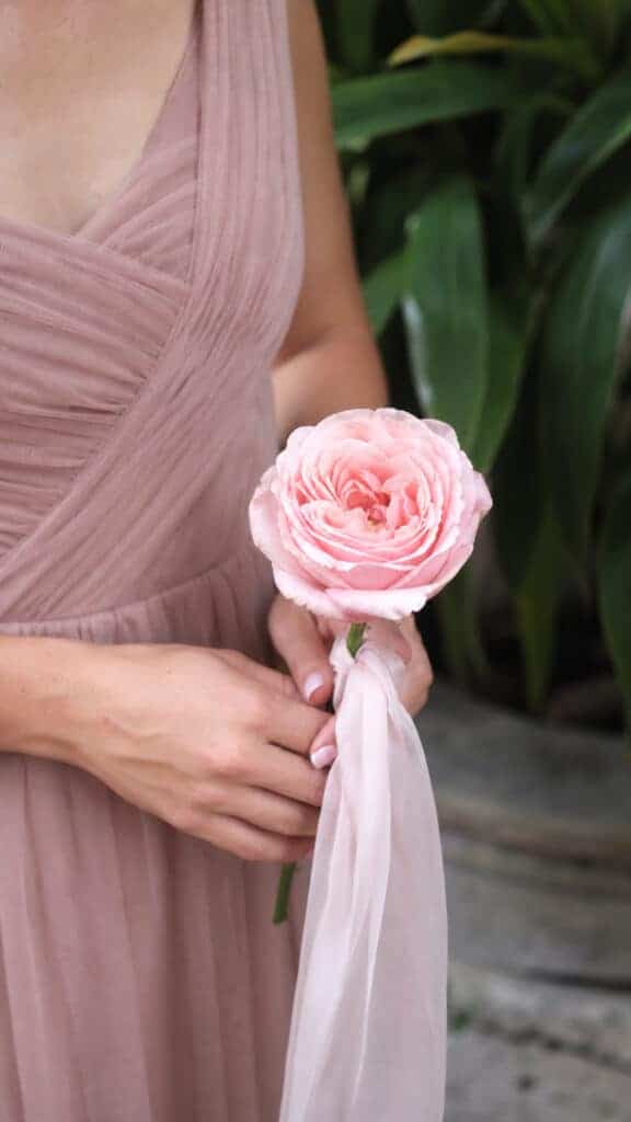 Single Stem Elegance
