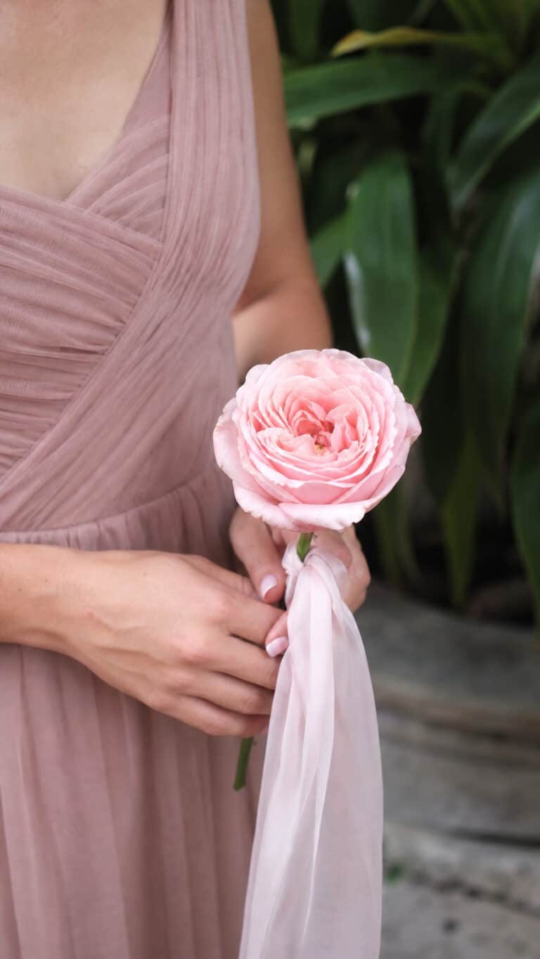 Single Stem Elegance