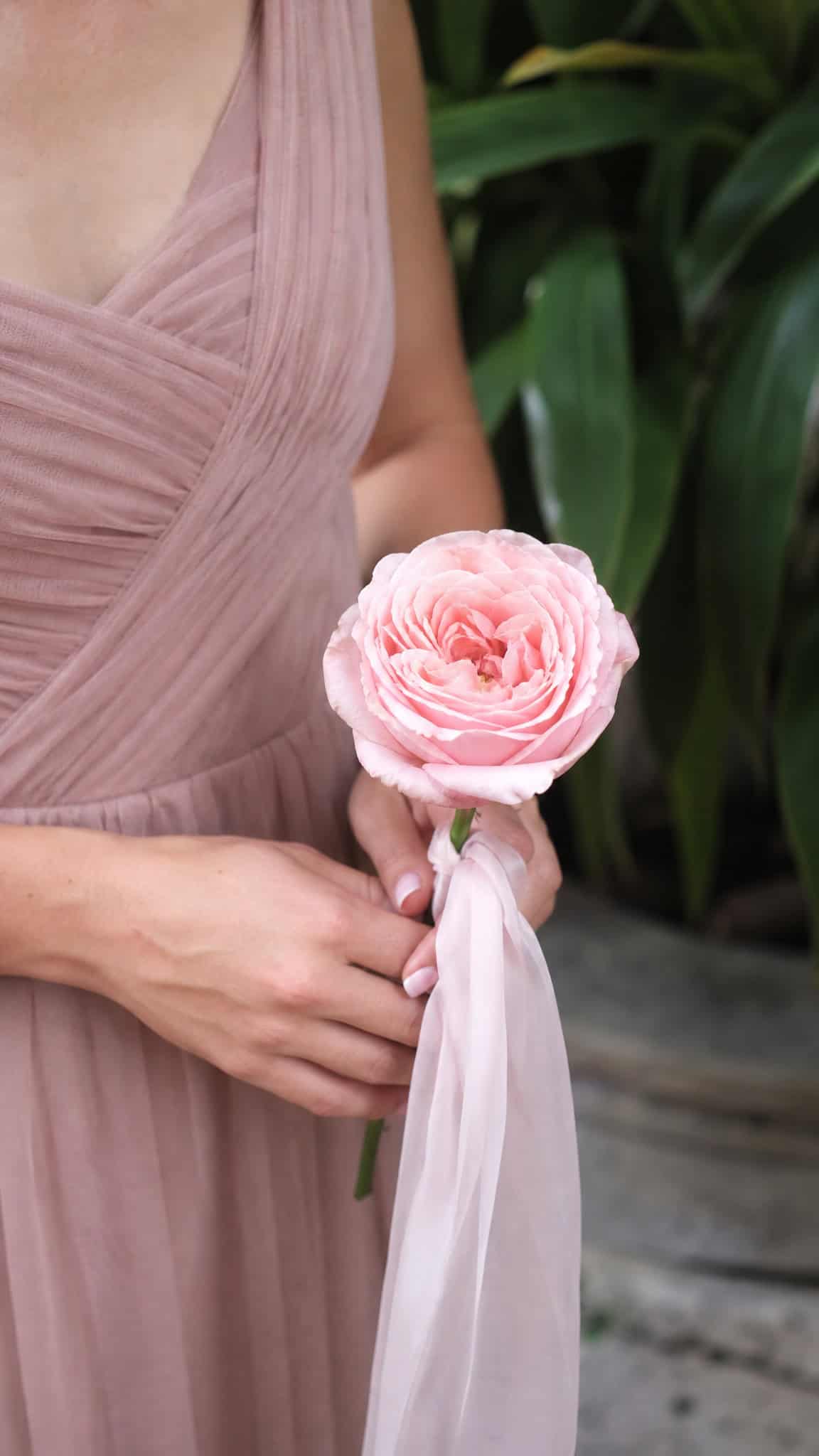 Single Stem Elegance