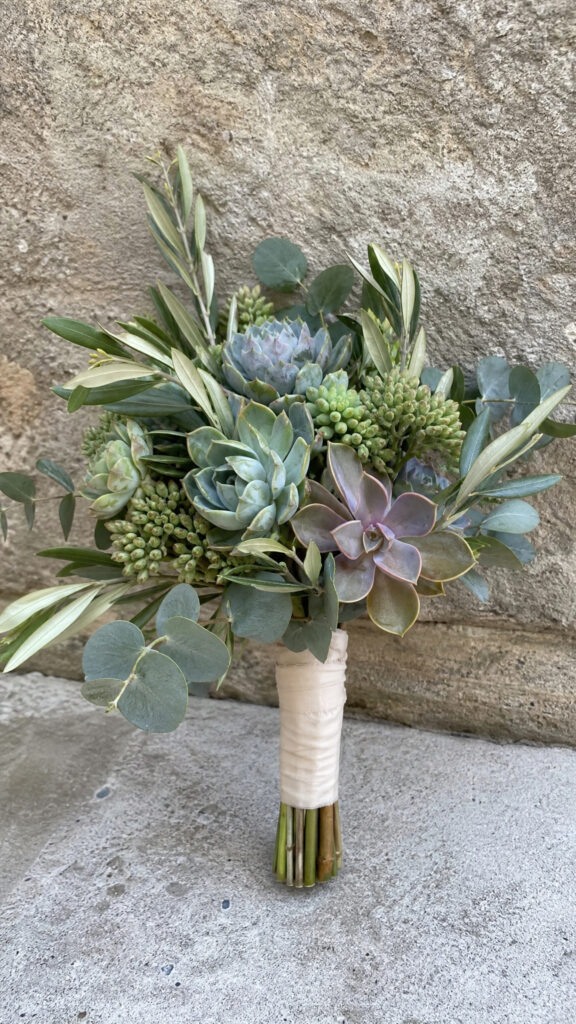 Succulent And Greenery Minimalism