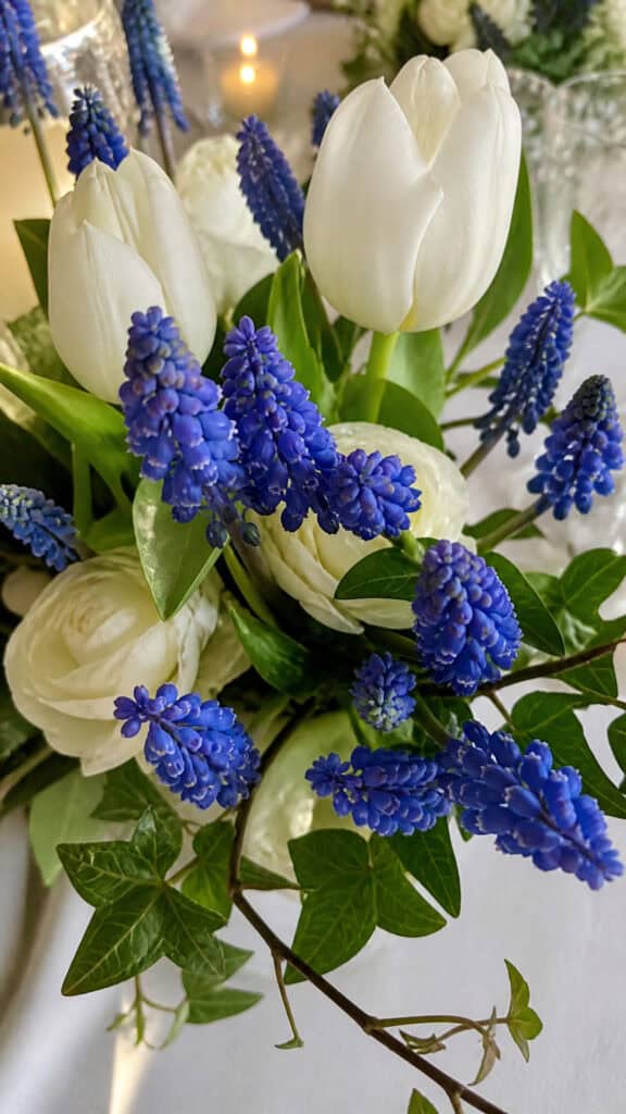 Blue Muscari
