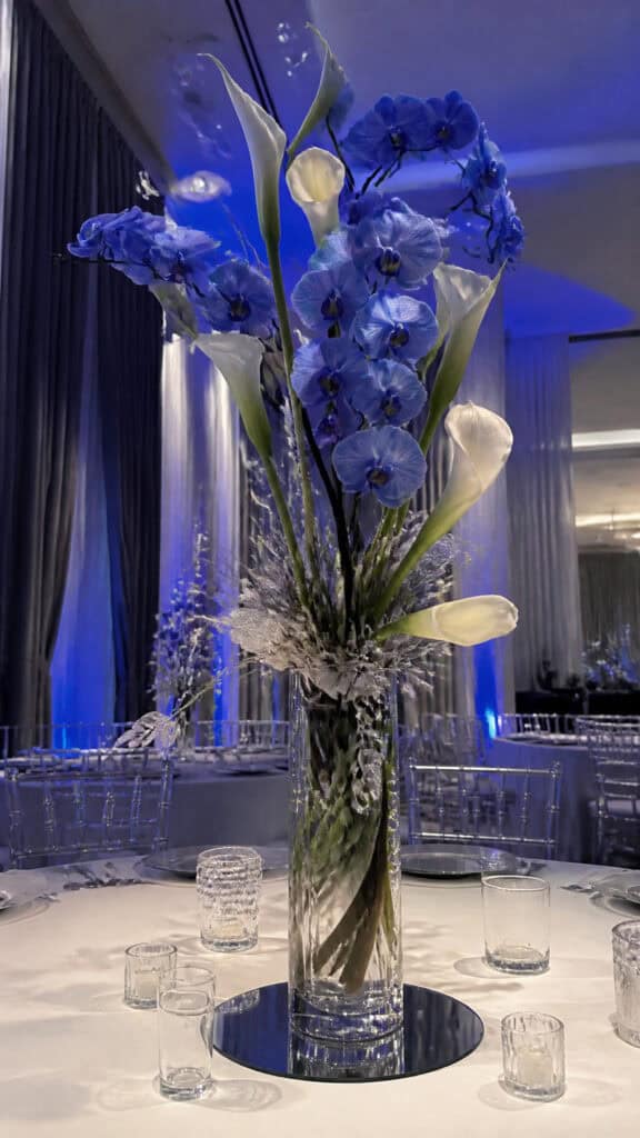 Blue Orchids