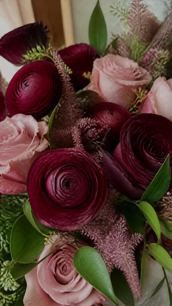 Elegant Burgundy Ranunculus