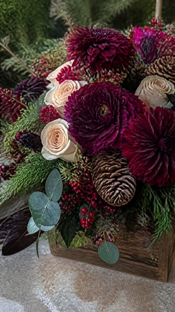 Rich Burgundy Dahlias