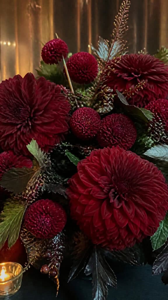 Rich Burgundy Dahlias