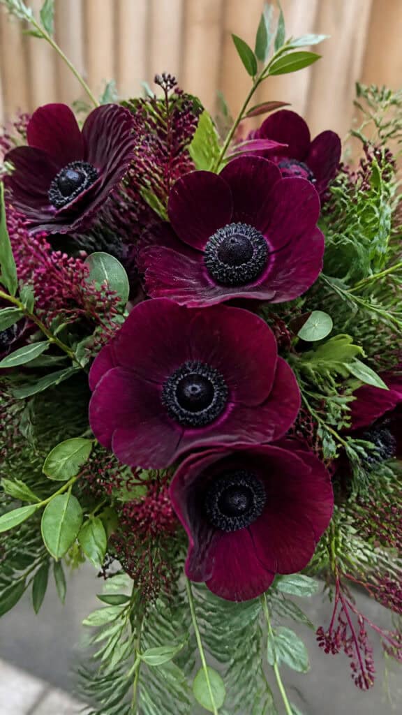 Romantic Burgundy Anemones