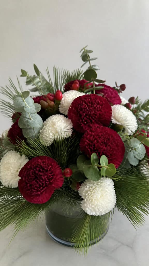 Velvety Burgundy Carnations