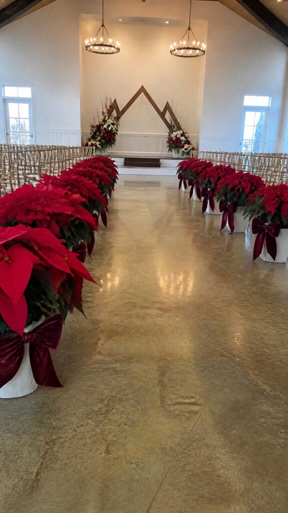 Poinsettia-Lined Aisle with Velvet Bows