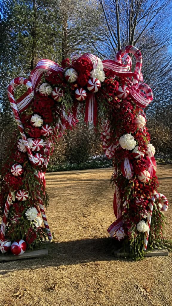 Candy Cane Whimsy and Peppermint Fun