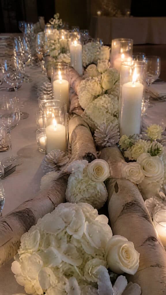 Winter White Birch and Candlelight