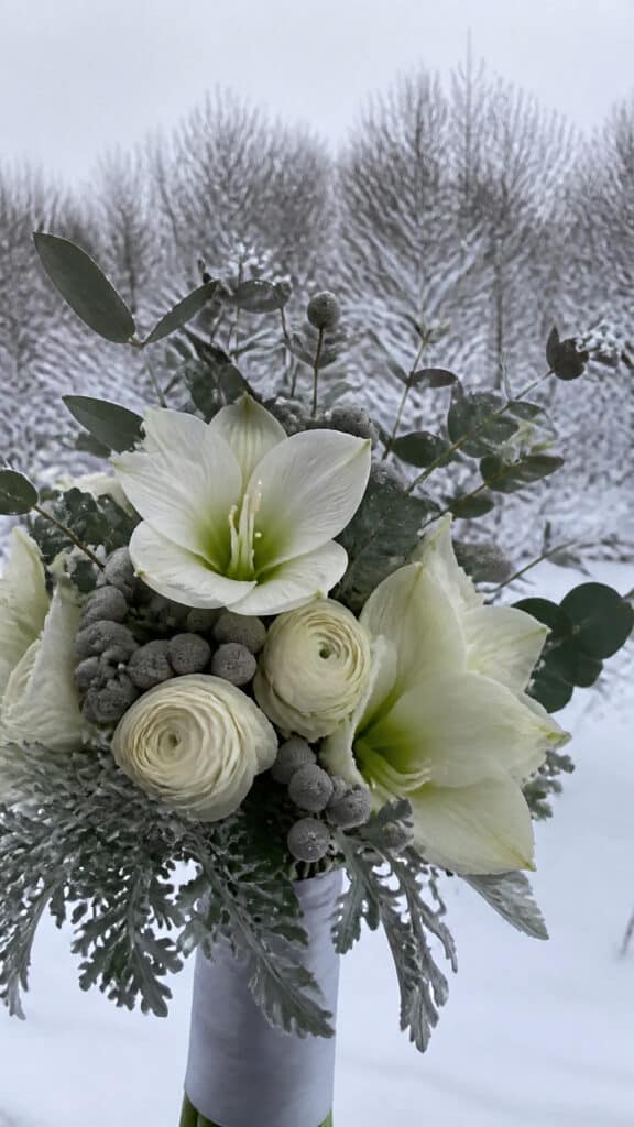 Winter White Amaryllis and Silver Accents