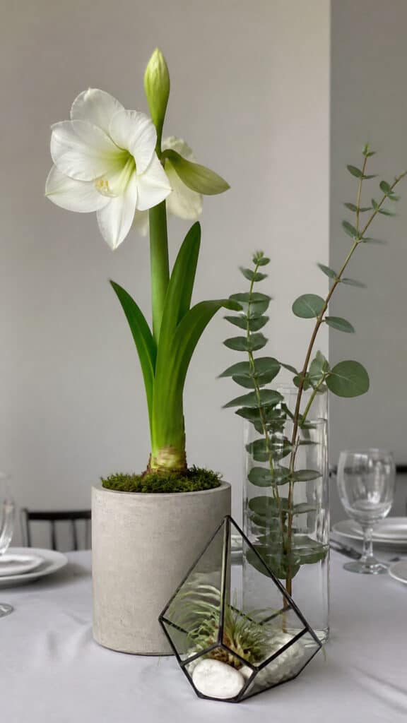 Modern Minimalist Christmas Sophistication