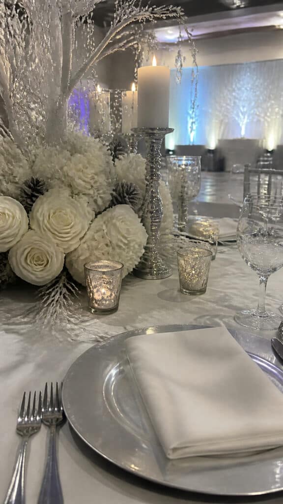 Winter Wonderland White and Silver Elegance