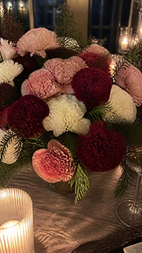 Carnations