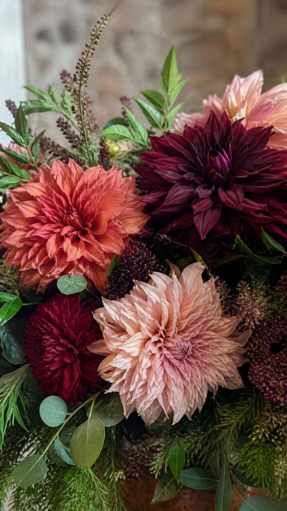 Dahlias