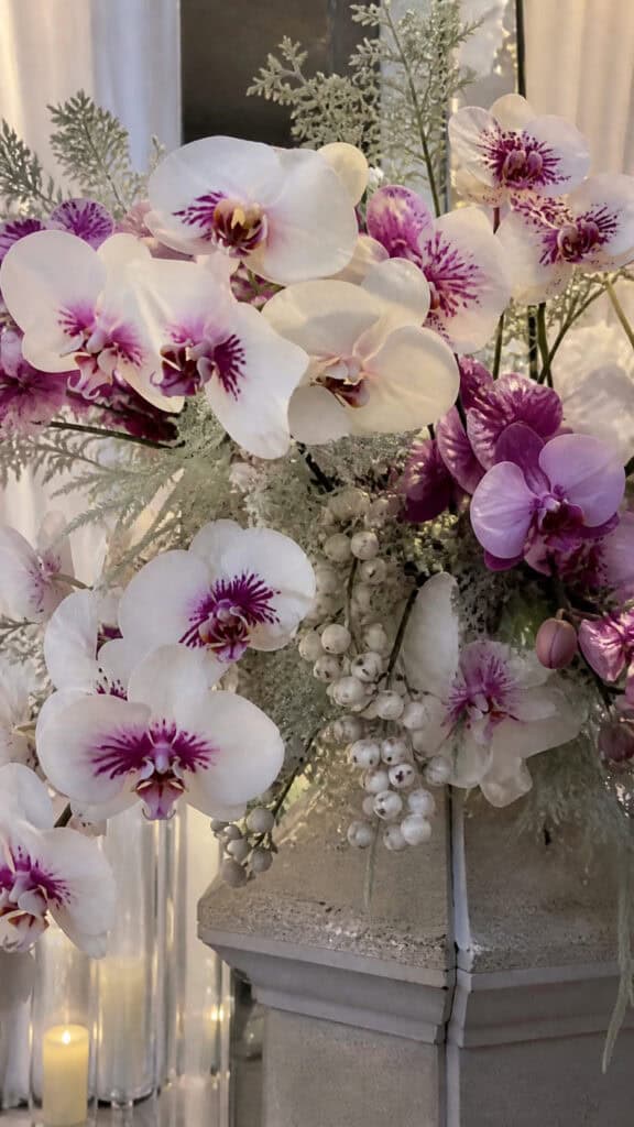 Orchids
