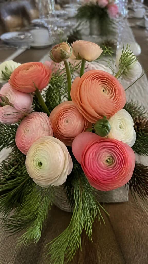 Ranunculus