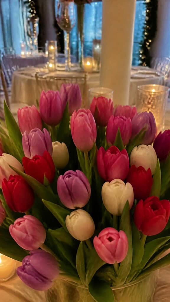 Tulips