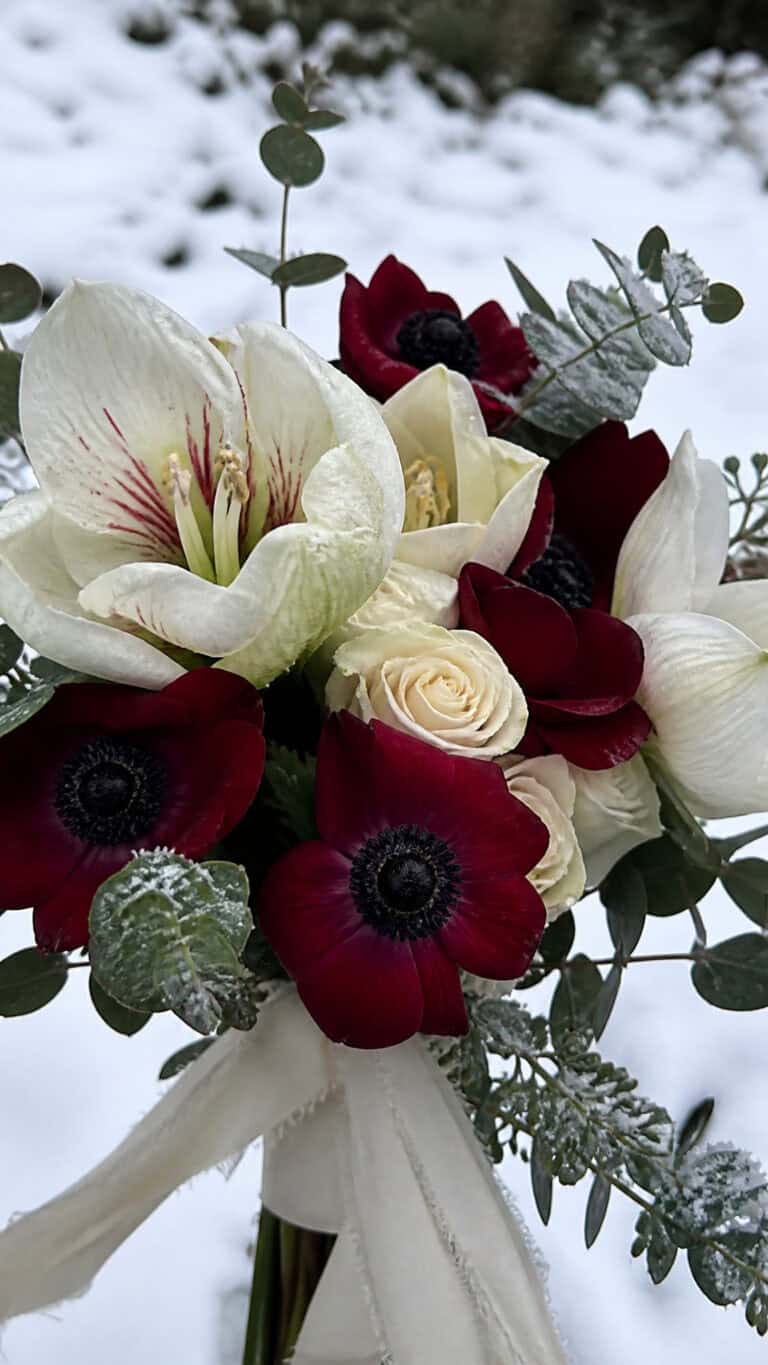 Understanding Seasonal Availability for Winter Blooms