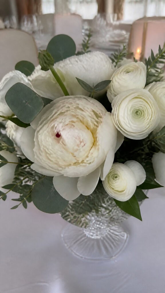 Ivory Peonies