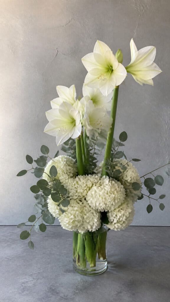 White Amaryllis