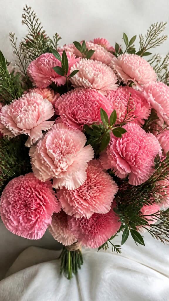 Carnations