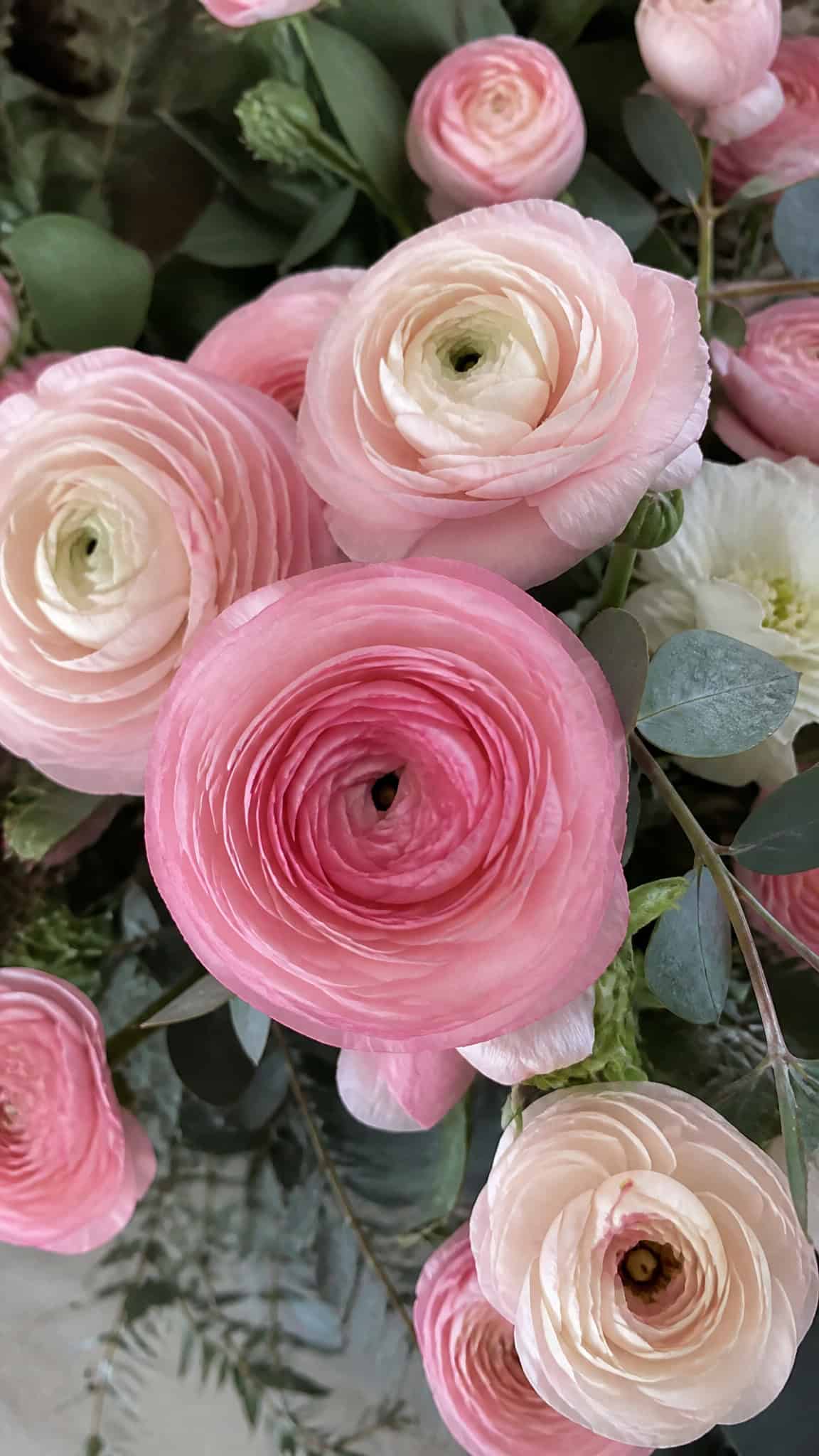 7 Pink Winter Wedding Flowers for a Soft Romantic Look