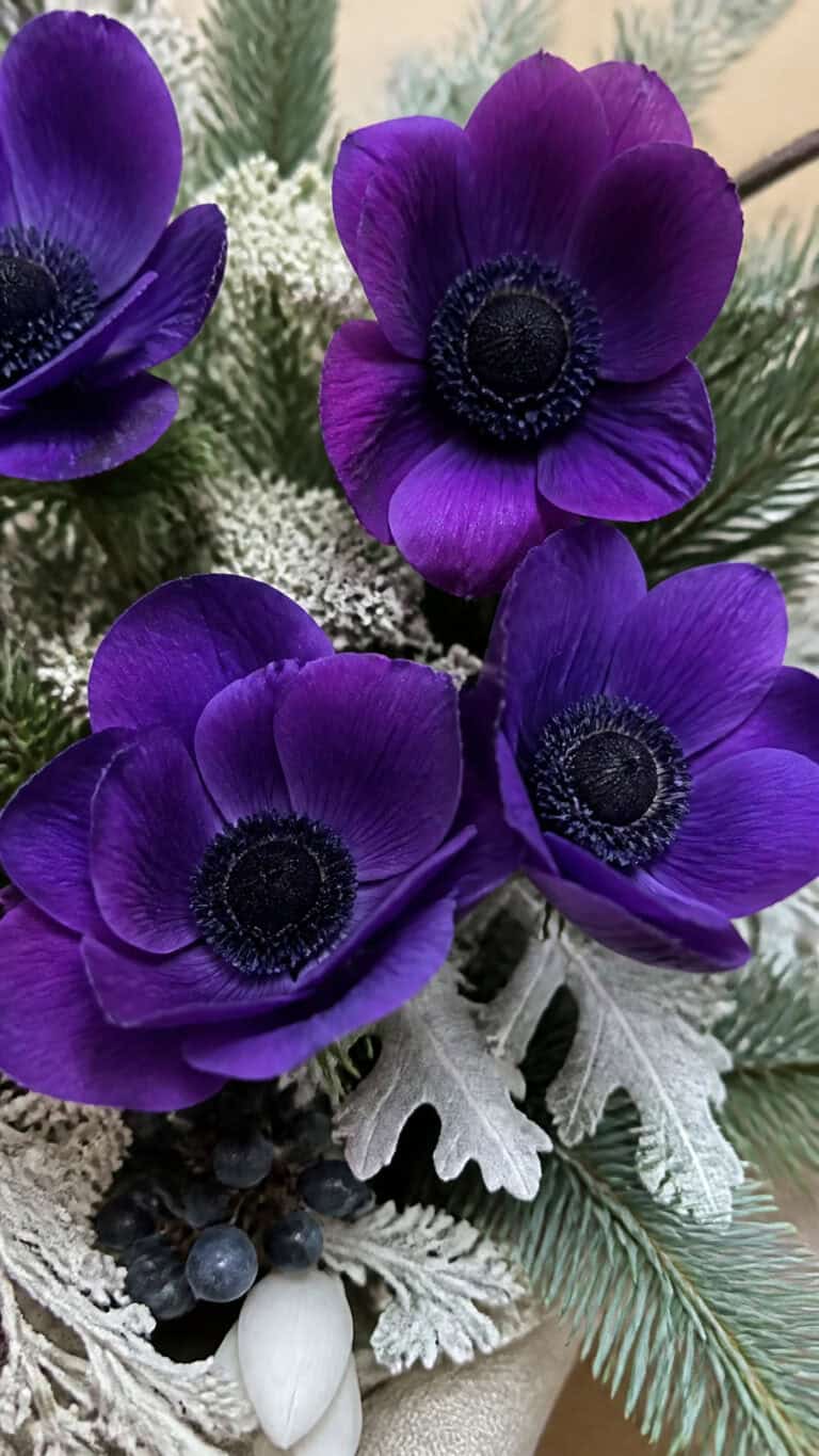 Anemones