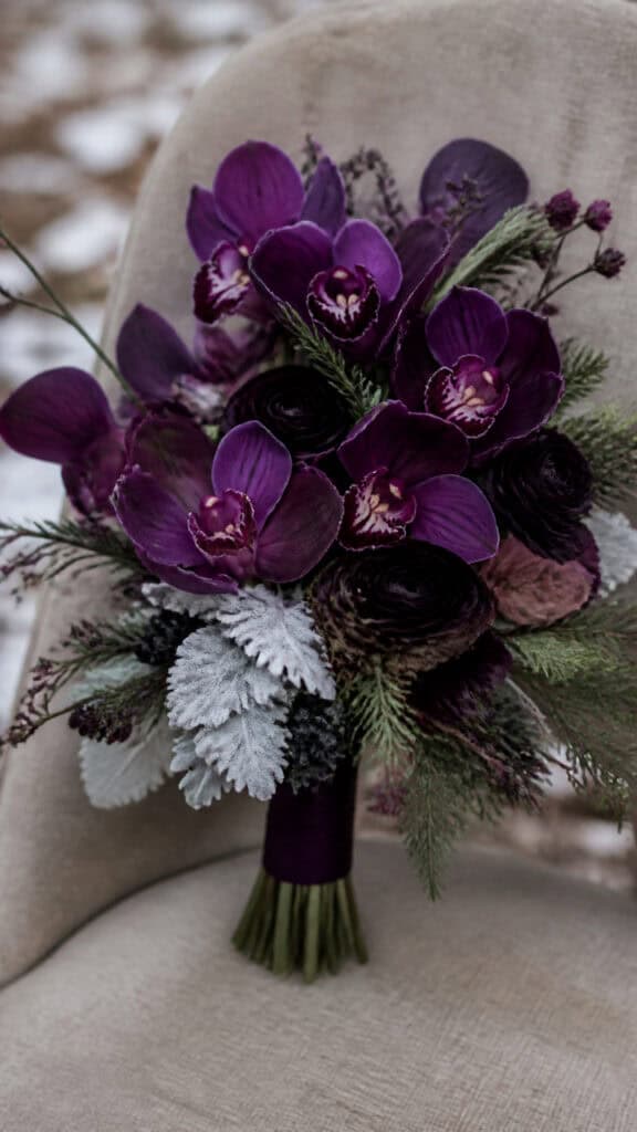 Orchids