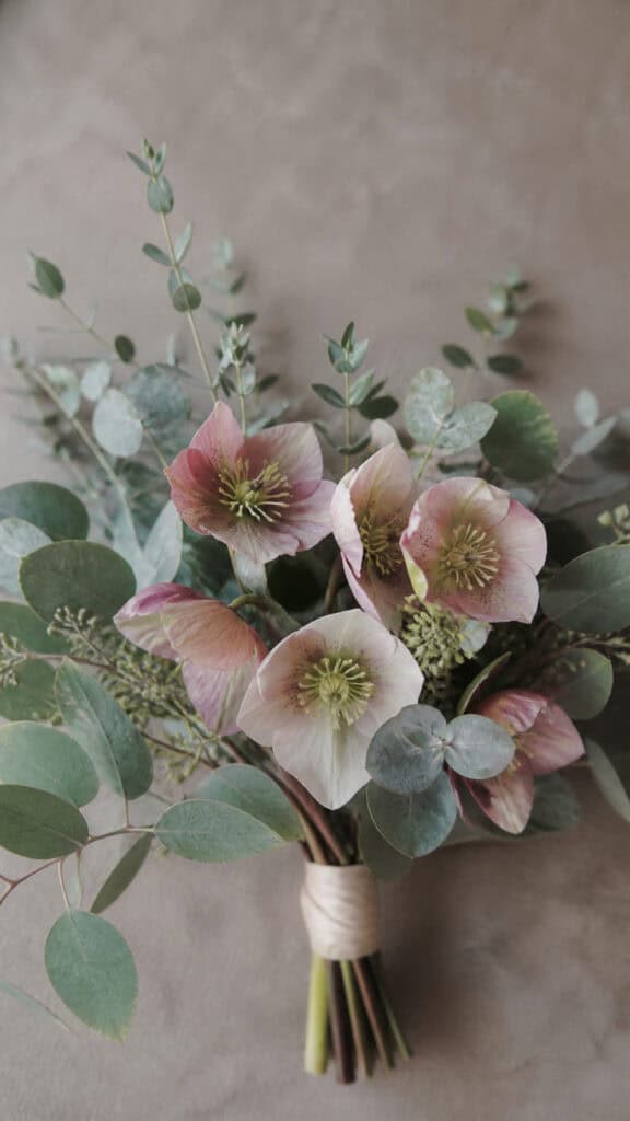 Blush Pink Hellebores and Frosted Greenery