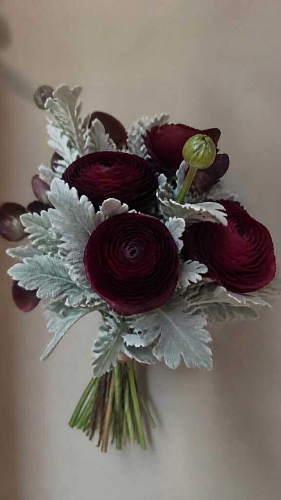 Burgundy Ranunculus and Dusty Miller Cluster
