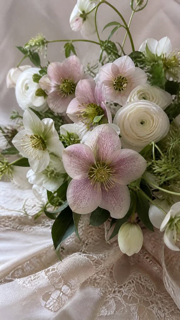 Hellebores: The Christmas Rose for Winter Weddings