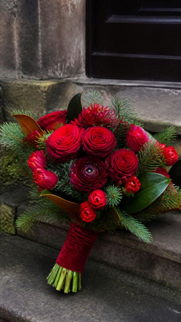 Bold Red Rose and Evergreen Classic