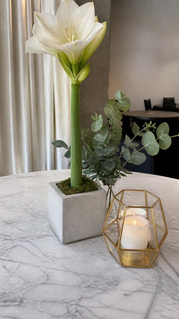 Modern Minimalist Winter Arrangements