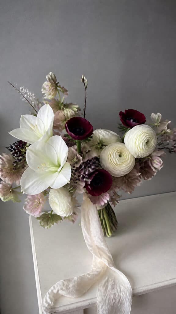 Classic Winter Blooms That Steal the Show