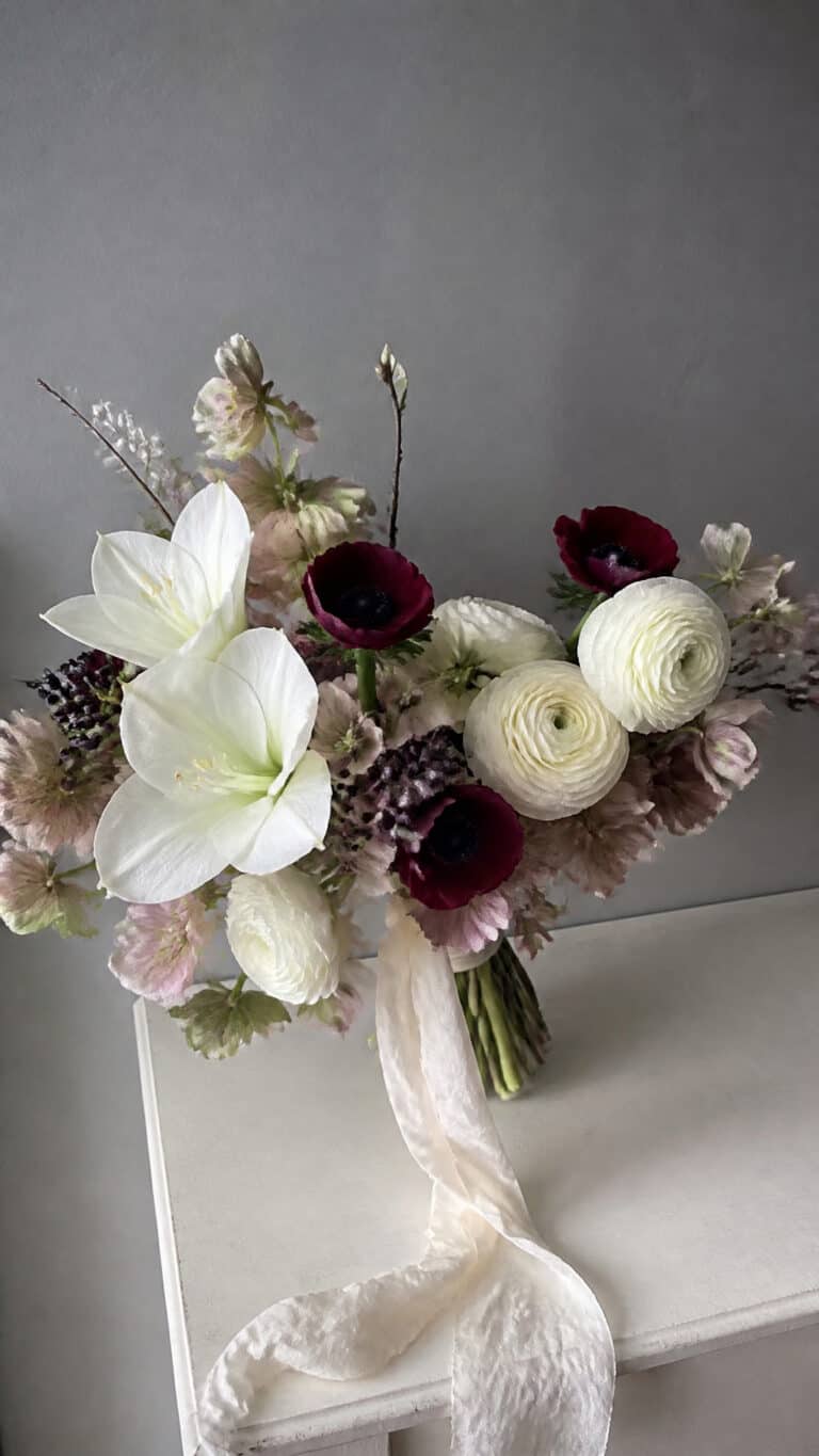 Classic Winter Blooms That Steal the Show