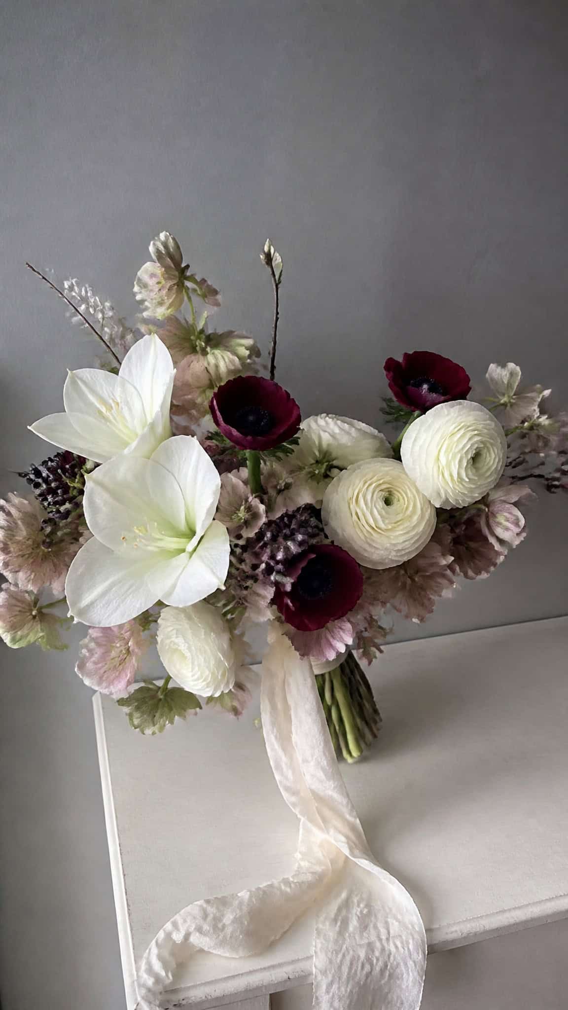 Classic Winter Blooms That Steal the Show