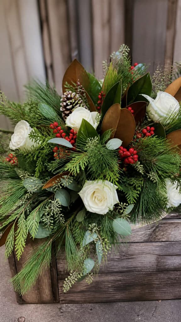 Evergreens and Winter Foliage