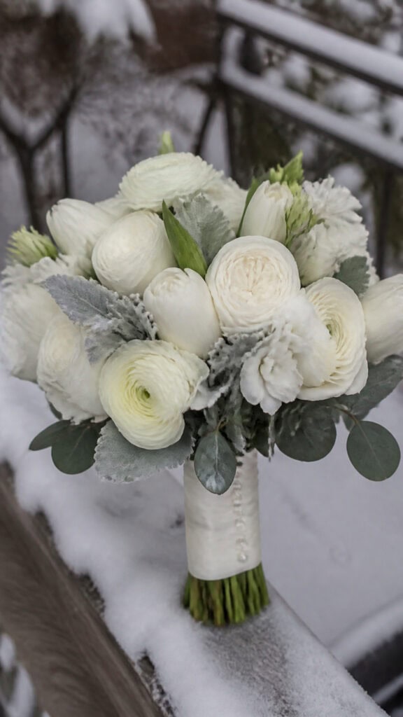 White and Cream Winter Blooms