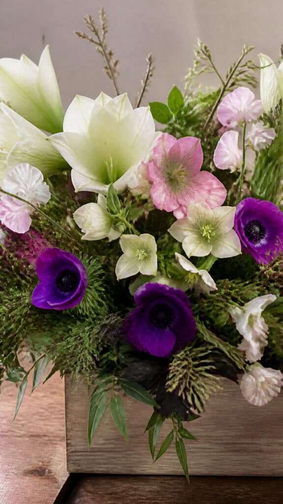 Seasonal Winter Blooms That Are Actually Available